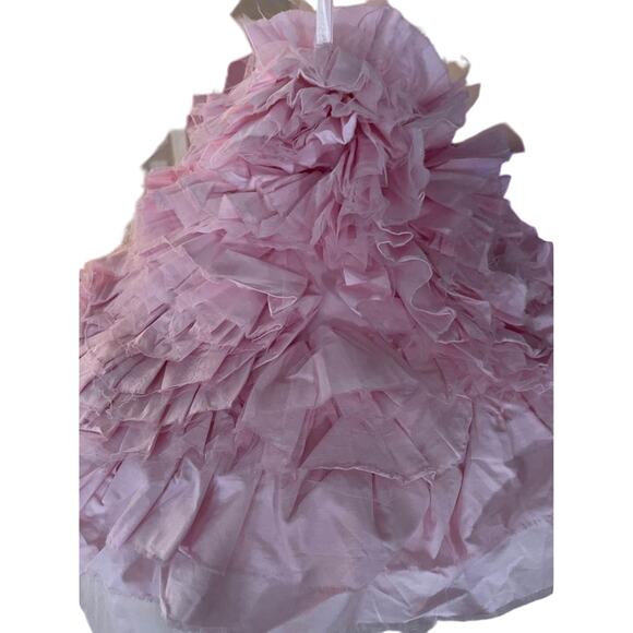 Pottery Barn Kids Pink Ruffle and Tulle Canopy - Picture 2 of 2